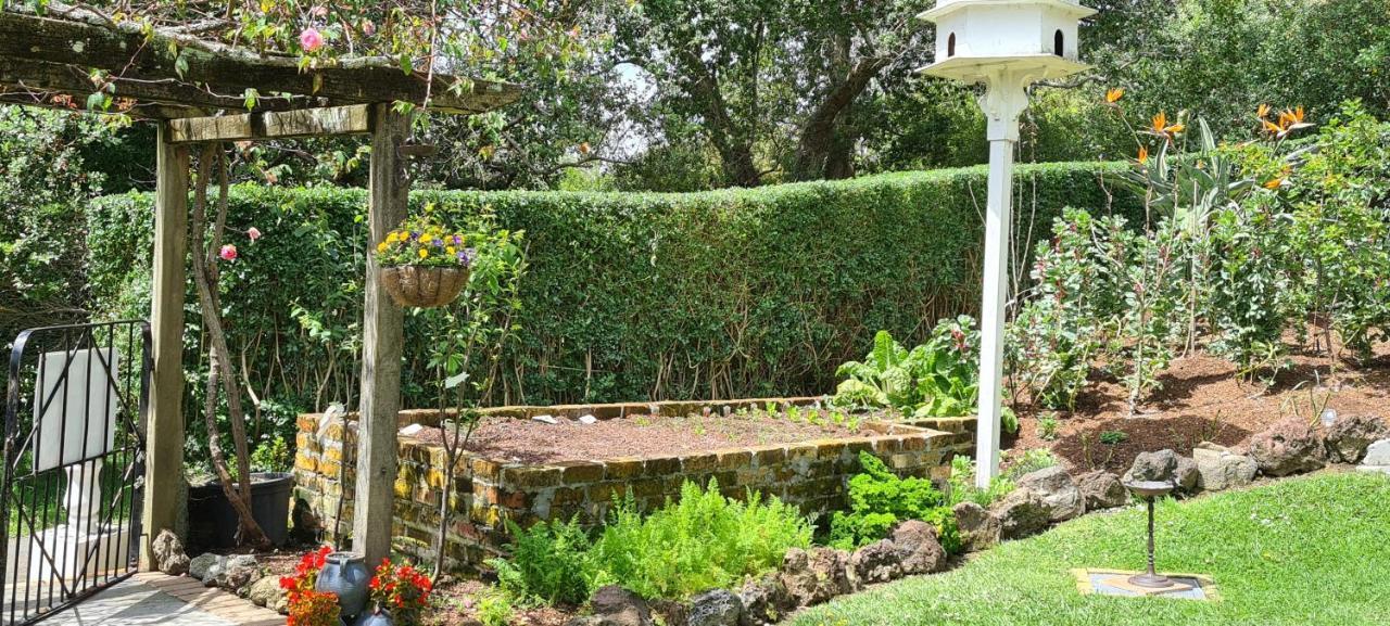 Dovecote House Bed & Breakfast Auckland Eksteriør bilde