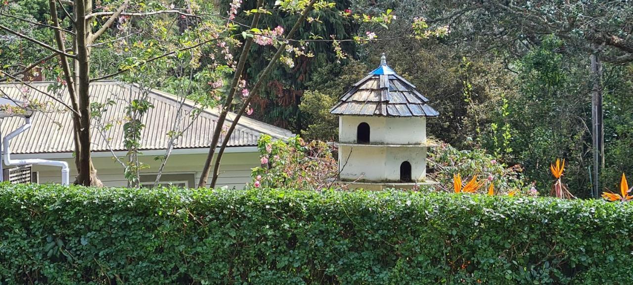 Dovecote House Bed & Breakfast Auckland Eksteriør bilde